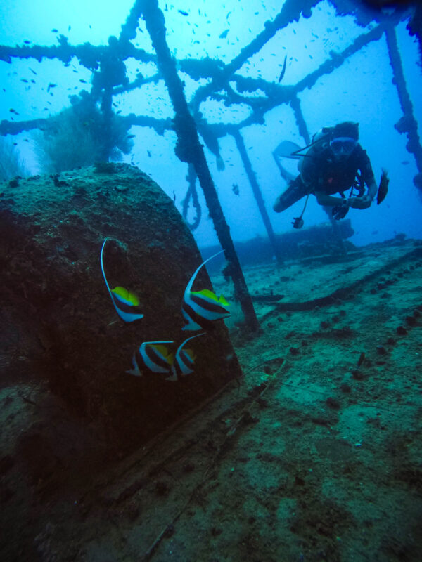 DCIM100GOPROGOPR5171.JPG