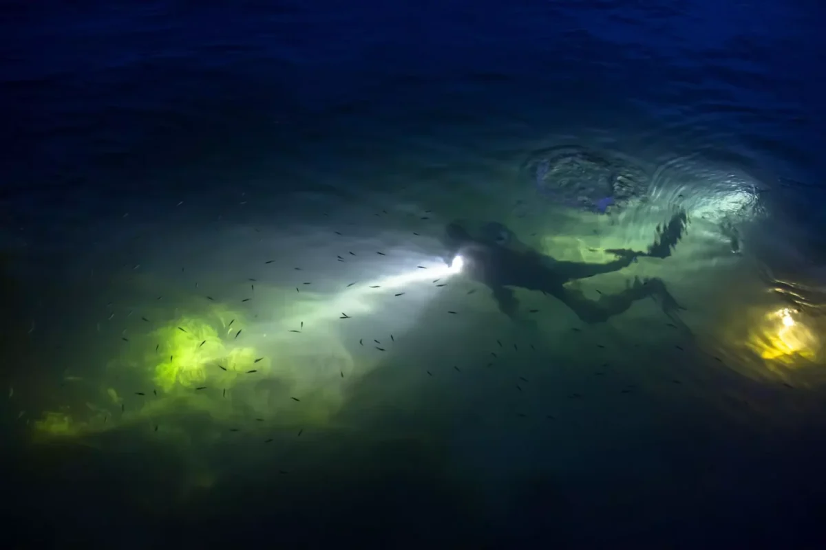 AnyConv.com dive 2701889 1920 1536x1024