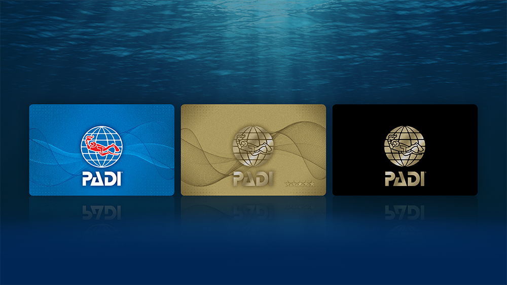 Blue Standard Gold five star and Black Pro Card 1000 x 562px