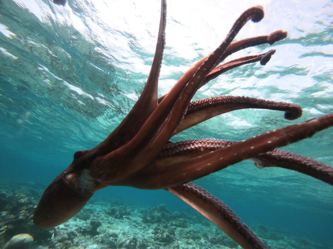 DCIM100GOPROGOPR3589.JPG