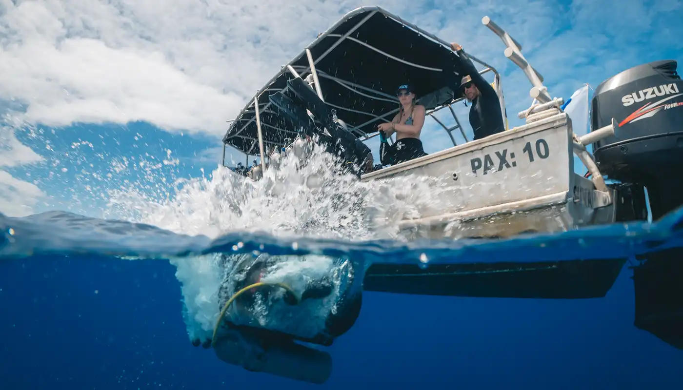 Boat diver