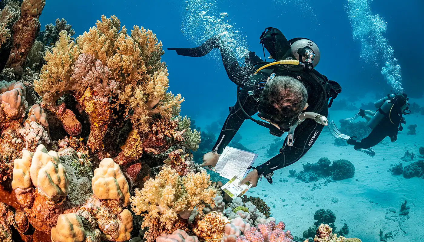 Coral reef conservation