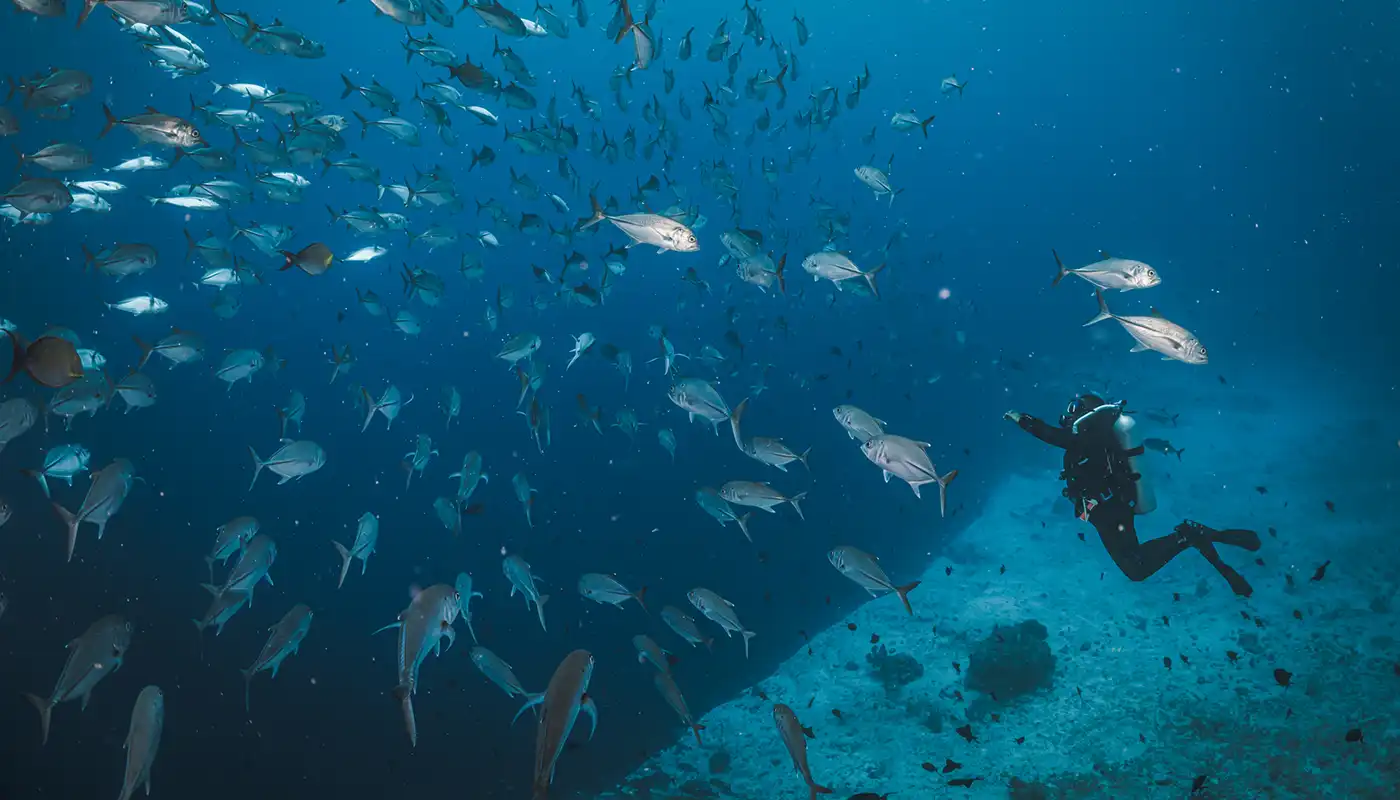 Deep diver