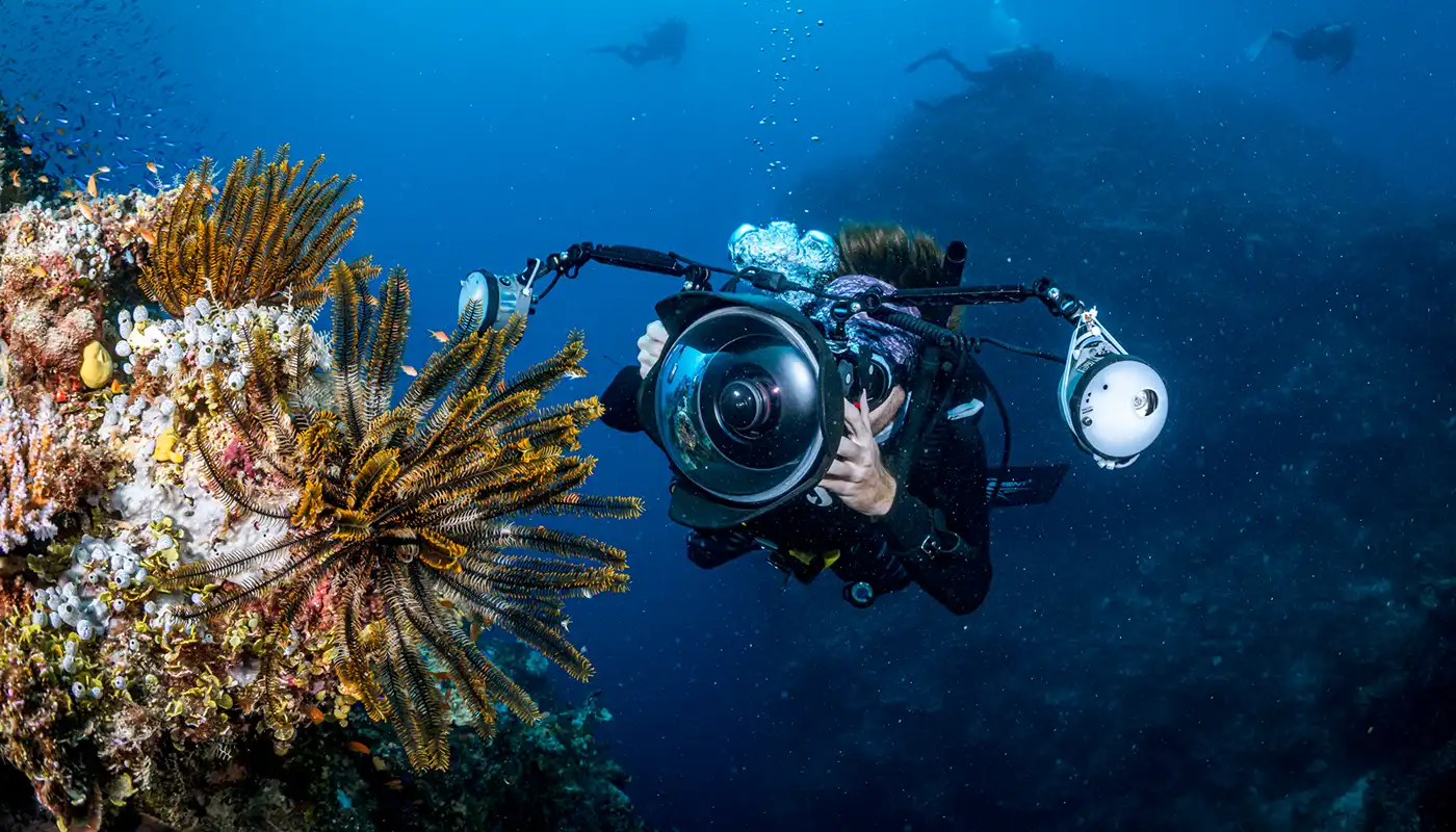 Digital underwater photographer